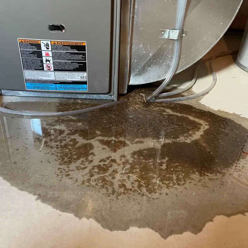 Appliance Leak Cleanup in Webb, AL